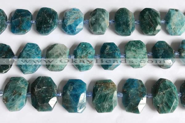 CNG7787 15.5 inches 13*18mm - 15*25mm faceted freeform apatite beads