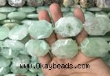 CNG7831 20*28mm - 25*35mm faceted freeform light prehnite beads