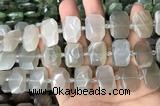 CNG7881 13*18mm - 15*25mm faceted freeform moonstone beads