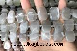 CNG7882 13*18mm - 15*25mm faceted freeform moonstone beads