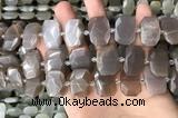 CNG7886 13*18mm - 15*25mm faceted freeform moonstone beads