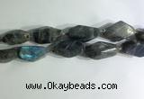 CNG7964 15.5 inches 15*25mm - 20*40mm nuggets labradorite beads