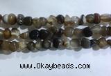 CNG8106 15.5 inches 6*8mm - 10*12mm agate gemstone chips beads