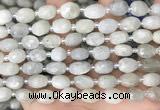 CNG8530 15.5 inches 8*9mm - 9*11mm faceted nuggets moonstone beads