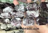 CNG8559 22*30mm - 25*35mm faceted freeform tourmaline beads