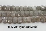 CNG8615 10*13mm - 12*16mm faceted freeform moonstone beads