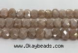 CNG8616 10*13mm - 12*16mm faceted freeform moonstone beads