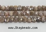 CNG8617 10*13mm - 12*16mm faceted freeform AB-color moonstone beads