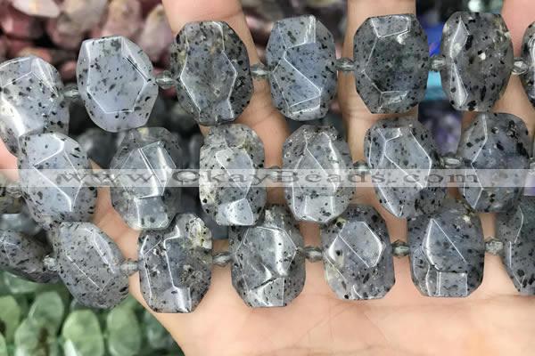 CNG8632 13*18mm - 15*25mm faceted freeform sesame jasper beads