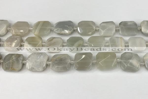 CNG8808 15.5 inches 16mm - 20mm faceted freeform moonstone beads