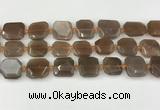 CNG8811 15.5 inches 16mm - 20mm faceted freeform moonstone beads