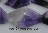 CNG893 15.5 inches 22*30mm faceted freeform dogtooth amethyst beads