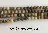 CNI370 15.5 inches 6mm round American picture jasper beads