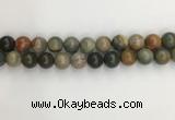 CNI373 15.5 inches 12mm round American picture jasper beads