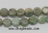 CNS09 16 inches 10mm flat round natural serpentine jasper beads