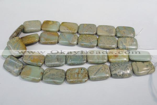 CNS257 15.5 inches 22*30mm rectangle natural serpentine jasper beads