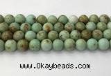 CNT419 15.5 inches 12mm round mongolian turquoise beads wholesale