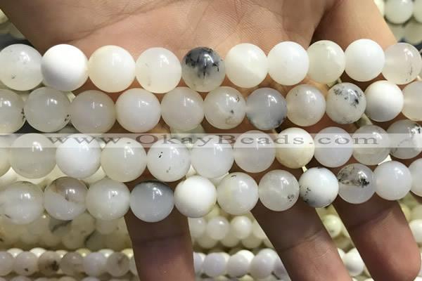 COP1586 15.5 inches 10mm round white opal gemstone beads