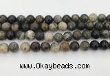 COP1603 15.5 inches 10mm round moss opal beads wholesale