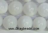 COP1617 15.5 inches 10mm round white opal gemstone beads