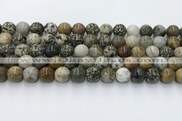 COS308 15.5 inches 10mm round ocean jasper beads wholesale