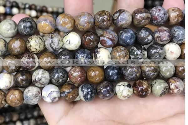 CPB1032 15.5 inches 10mm round pietersite beads wholesale