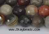 CPJ549 15.5 inches 10mm faceted round polychrome jasper beads