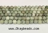 CPJ702 15.5 inches 8mm round greeting pine jasper beads