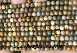 CPJ706 15.5 inches 4mm round rocky butte picture jasper beads