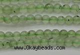 CPR310 15.5 inches 4mm round natural prehnite gemstone beads