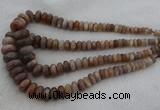 CRB1112 15.5 inches 5*8mm - 9*18mm rondelle moonstone beads