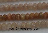 CRB224 15.5 inches 2.5*4mm faceted rondelle moonstone beads