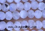 CRB2623 15.5 inches 2*3mm faceted rondelle white moonstone beads