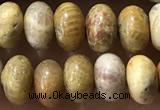 CRB5321 15.5 inches 4*6mm rondelle fossil coral beads wholesale