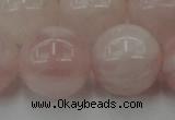 CRQ676 15.5 inches 16mm round rose quartz beads wholesale