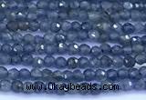 CRZ1171 15 inches 2mm faceted round sapphire beads