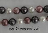 CSB1045 15.5 inches 8mm round mixed color shell pearl beads