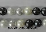 CSB1051 15.5 inches 10mm round mixed color shell pearl beads