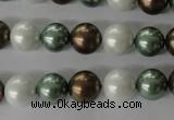 CSB1055 15.5 inches 10mm round mixed color shell pearl beads