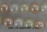 CSB1092 15.5 inches 12mm round mixed color shell pearl beads