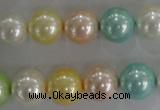 CSB1098 15.5 inches 12mm round mixed color shell pearl beads