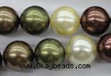 CSB1128 15.5 inches 14mm round mixed color shell pearl beads