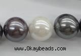 CSB1150 15.5 inches 16mm round mixed color shell pearl beads