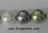 CSB1153 15.5 inches 16mm round mixed color shell pearl beads