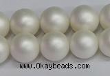 CSB1603 15.5 inches 10mm round matte shell pearl beads wholesale