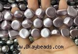 CSB2156 15.5 inches 14*14mm - 15*15mm baroque shell pearl beads