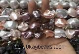 CSB2176 15.5 inches 16*16mm - 20*22mm baroque mixed shell pearl beads