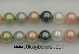 CSB310 15.5 inches 8mm round mixed color shell pearl beads