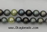 CSB316 15.5 inches 8mm round mixed color shell pearl beads