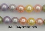 CSB330 15.5 inches 10mm round mixed color shell pearl beads